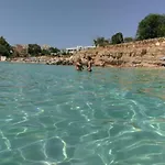 فيلة Blue Pearl